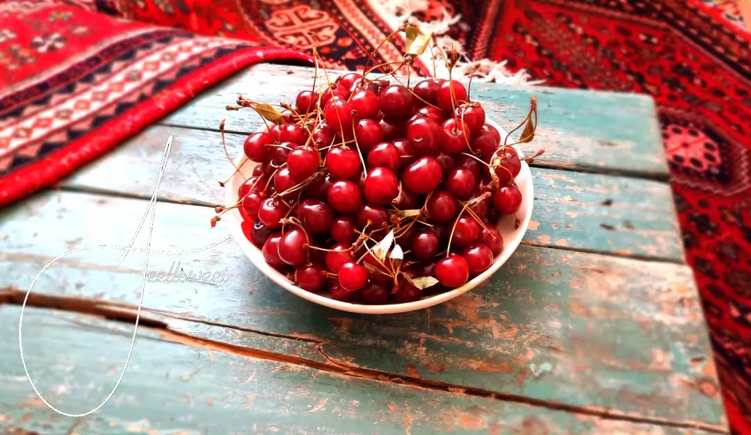عکاسی محصول برند فیل سوییت