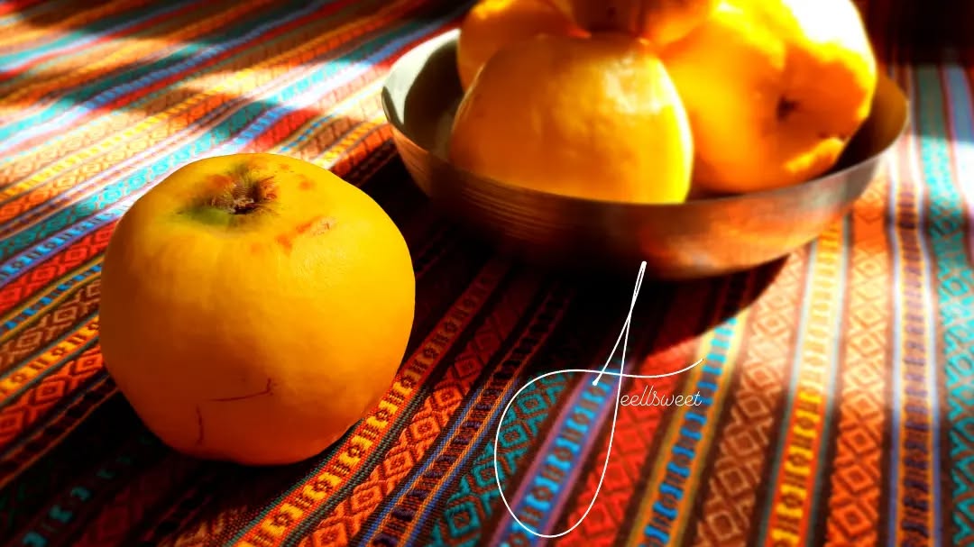 نمونه کپشن ماندان آنللاین